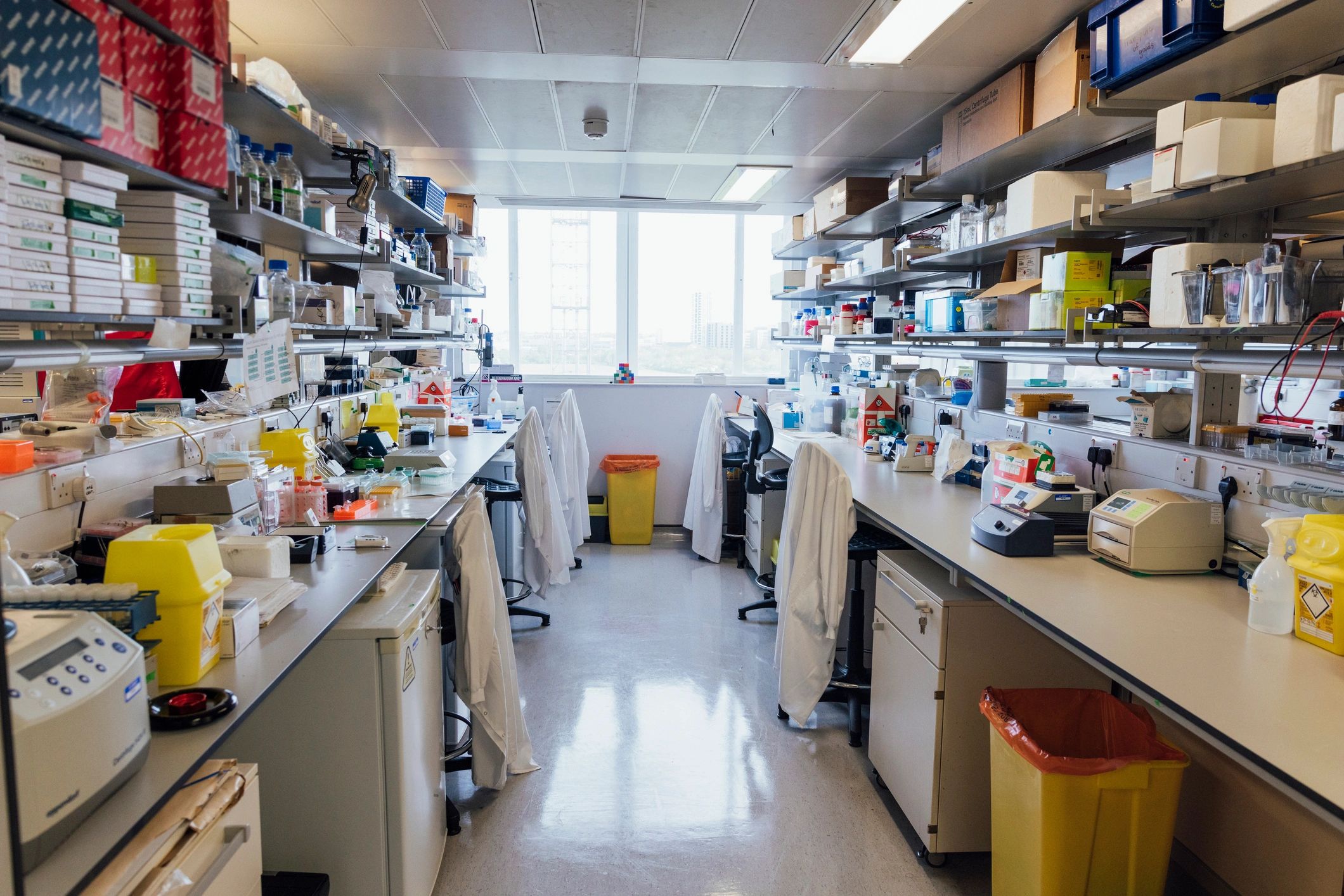Modern biomedical research laboratory