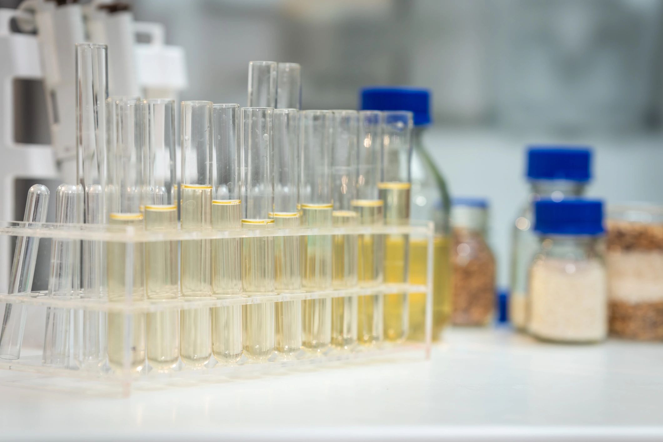 Laboratory test tubes containing prepared samples